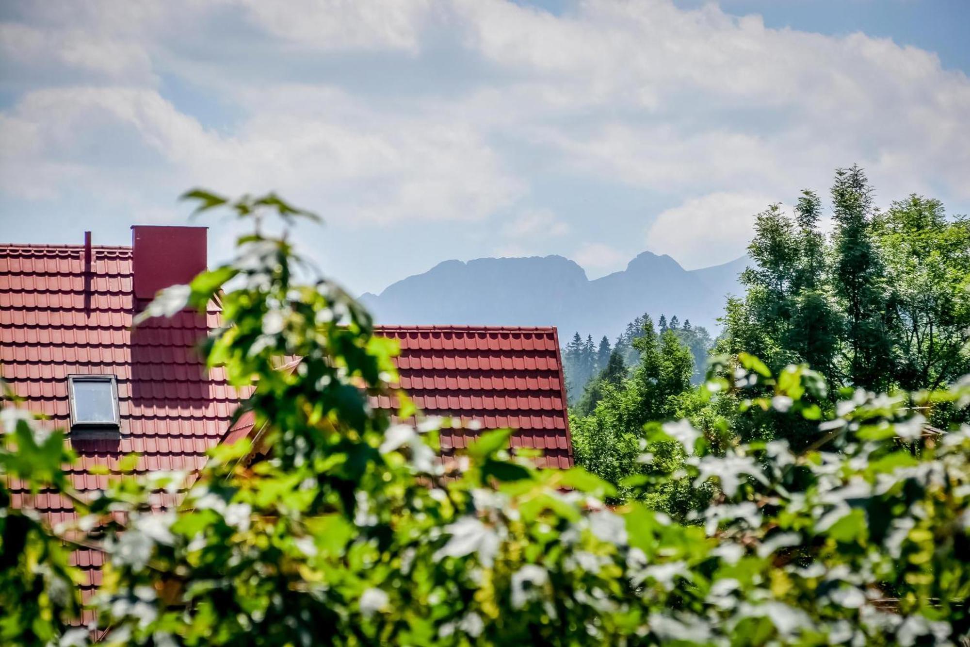 Willa Goralska Bialy Dunajec Exterior photo